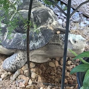 Meet your Posher, Char